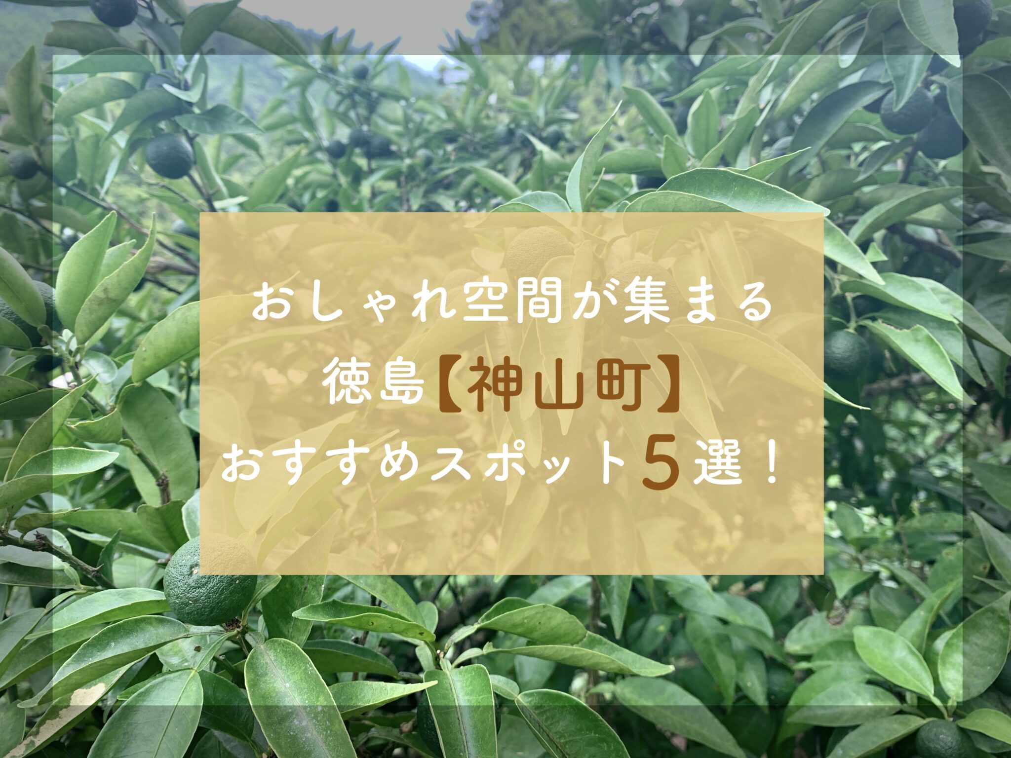 おしゃれ空間が集まる徳島県 神山町 のおすすめスポット5選 四国お出かけスポット