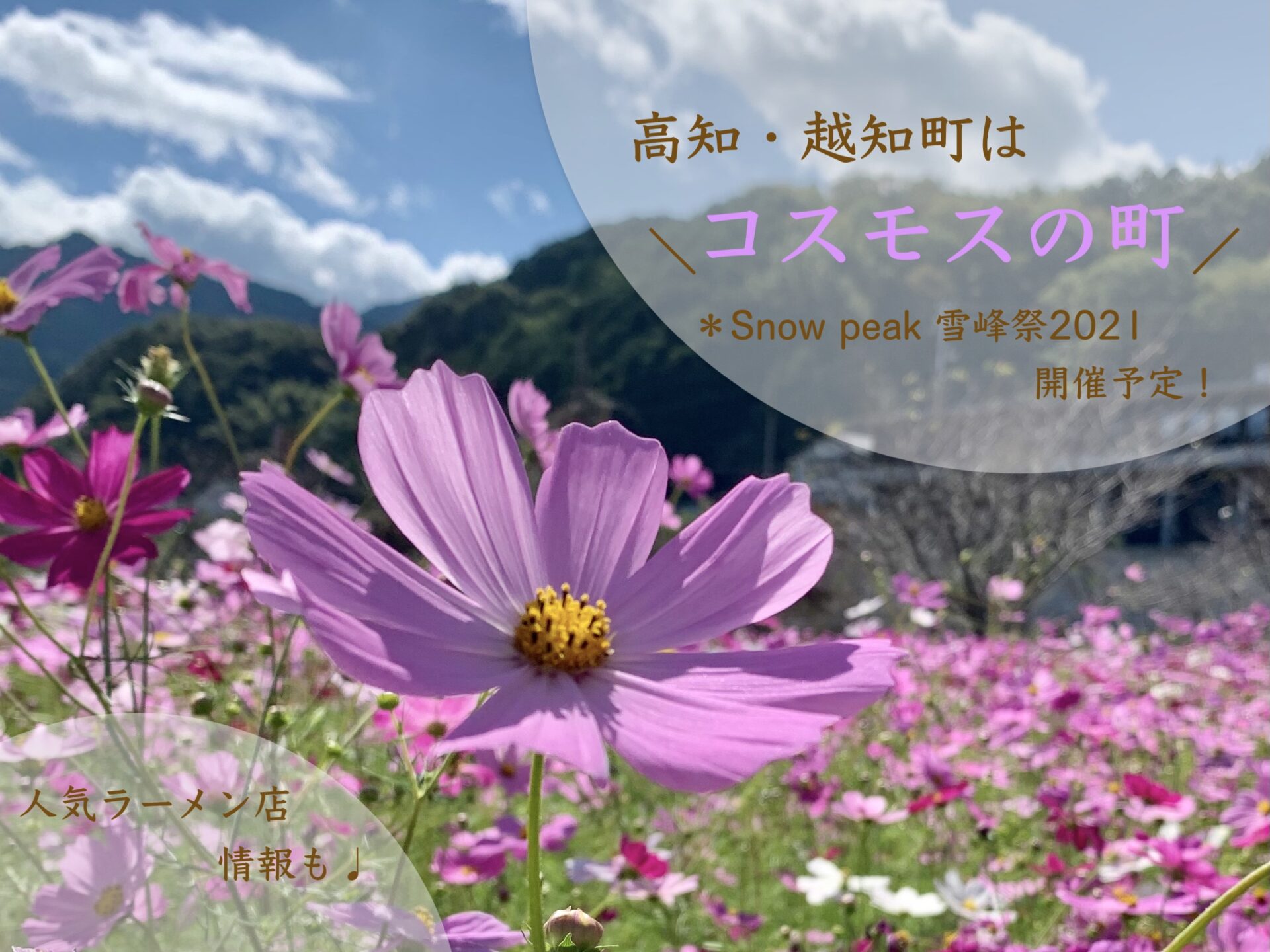 高知 越知町はコスモスの町 Snow Peak雪峰祭も開催予定 四国お出かけスポット