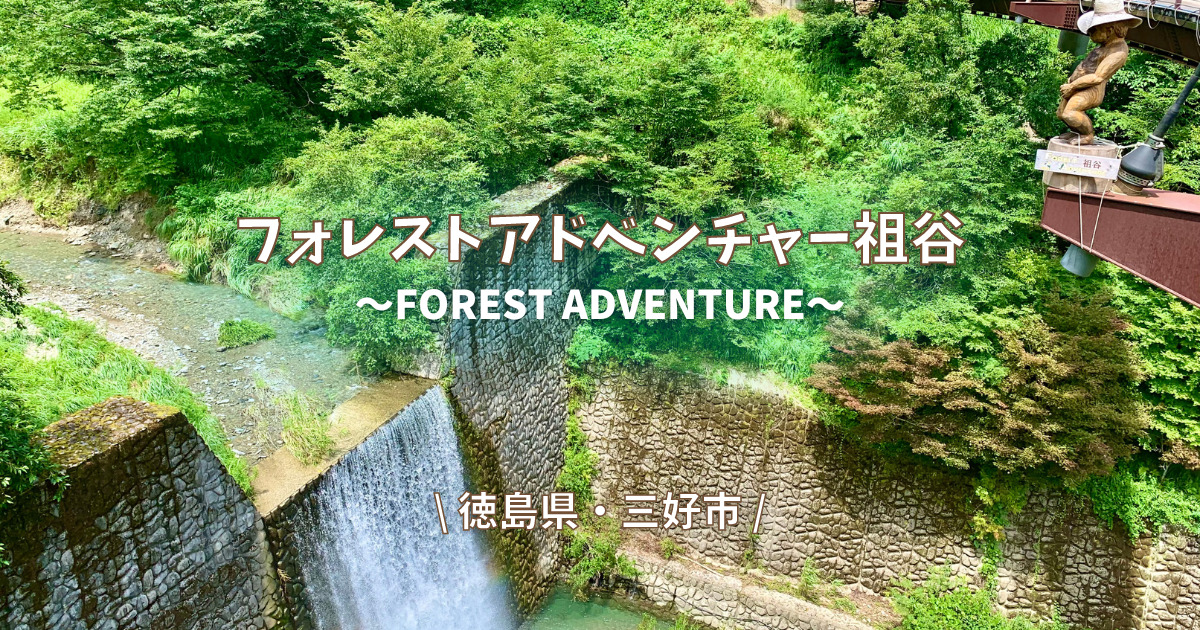 フォレストアドベンチャー祖谷を体験 徳島県 三好市 おすすめポイント3選 四国お出かけスポット